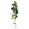 6ft. Fiddle Leaf Tree in Decorative White Planter